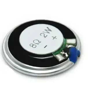 8ohm 2W 2
